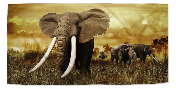 Sablio Uterák Slon Africký - 30x50 cm