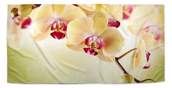 Sablio Uterák Orchidea 2 - 30x50 cm