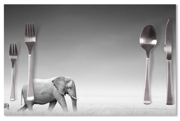 Sablio Prestieranie Slon a zebra: 40x30cm
