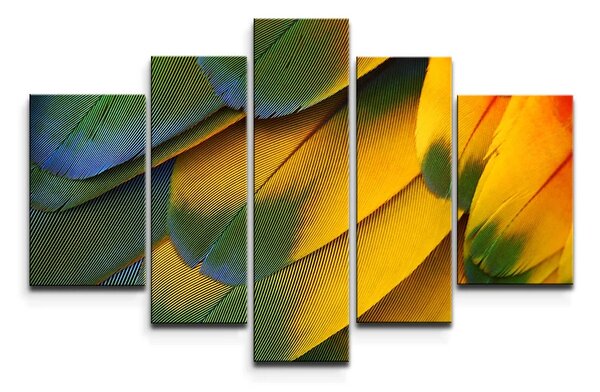 Sablio Obraz - 5-dílný Farebné perie - 125x90 cm