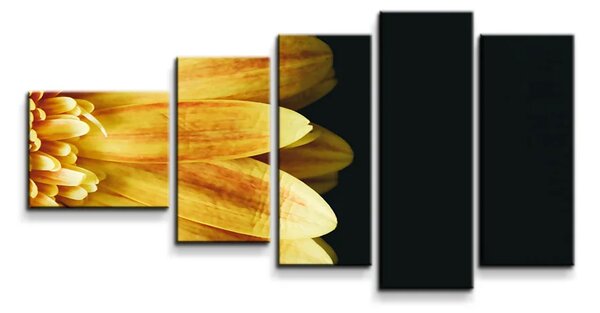 Sablio Obraz - 5-dílný Žltá gerbera - 100x60 cm