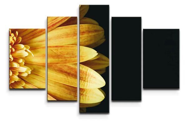 Sablio Obraz - 5-dílný Žltá gerbera - 125x90 cm