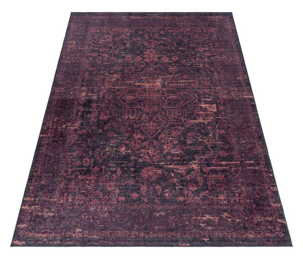 Ayyildiz, Kusový koberec Fiesta 4304 red, 80x150, červená, chodba / predsieň