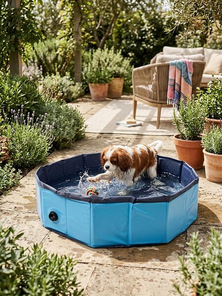 Sinsay - Bazén pre psov - viacfarebná