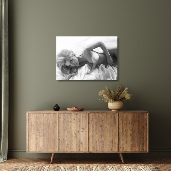 Sklenený obraz - Čiernobiele boudoir (70x50 cm)