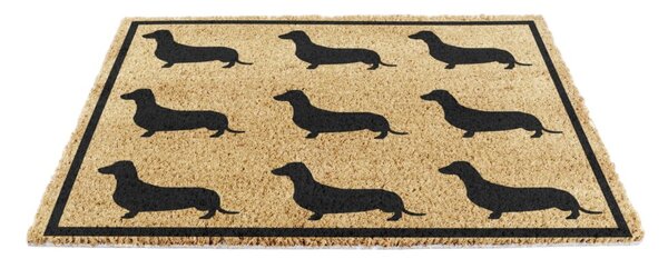 Rohožka z kokosového vlákna 40x60 cm Dachshund – Artsy Doormats