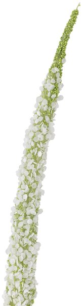 Umelá kvetina Foxtail White 73 cm