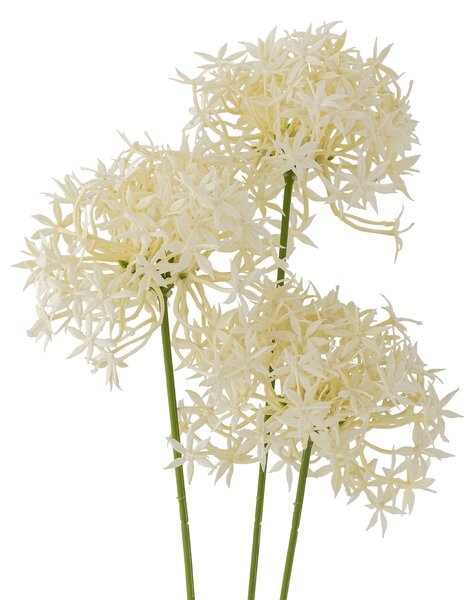 Umelá kvetina Allium White 63 cm