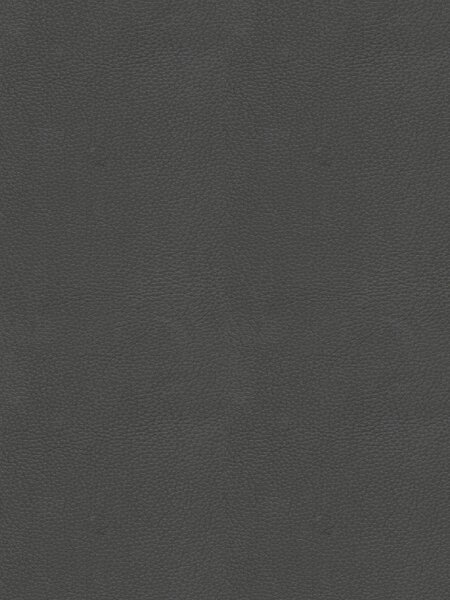 STOLIČKA S PODRÚČKAMI, antracitová, čierna Novel - Stoličky