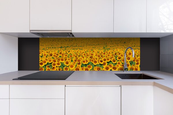 DIMEX | Dibond doska za kuchynskú linku | DBW-18060-030 Lány slnečníc | 180 x 60 cm
