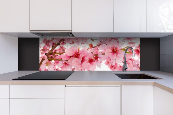 DIMEX | Dibond doska za kuchynskú linku | DBW-18060-054 Kvety jabloní | 180 x 60 cm