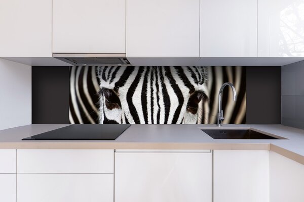 DIMEX | Dibond doska za kuchynskú linku | DBW-18060-016 Zebra | 180 x 60 cm