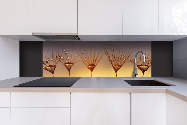 DIMEX | Dibond doska za kuchynskú linku | DBW-18060-121 Kvapky na púpave | 180 x 60 cm