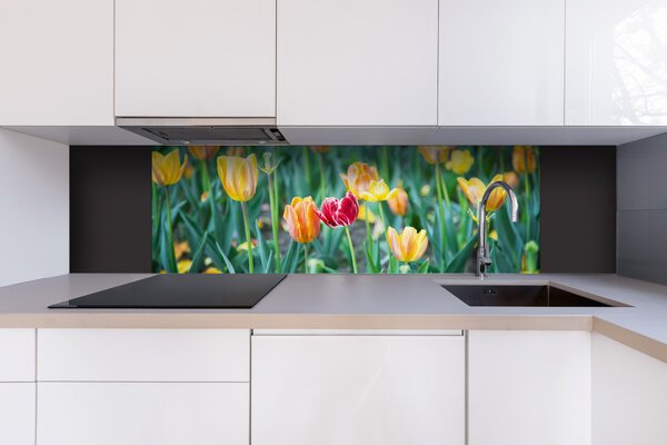 DIMEX | Dibond doska za kuchynskú linku | DBW-18060-122 Jarné kvety | 180 x 60 cm