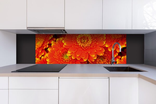 DIMEX | Dibond doska za kuchynskú linku | DBW-18060-059 Gerbera | 180 x 60 cm