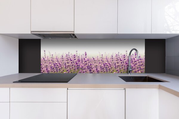 DIMEX | Dibond doska za kuchynskú linku | DBW-18060-125 Levanduľové pole | 180 x 60 cm