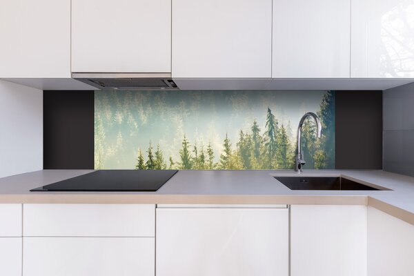 DIMEX | Dibond doska za kuchynskú linku | DBW-18060-141 Hmla nad lesom | 180 x 60 cm