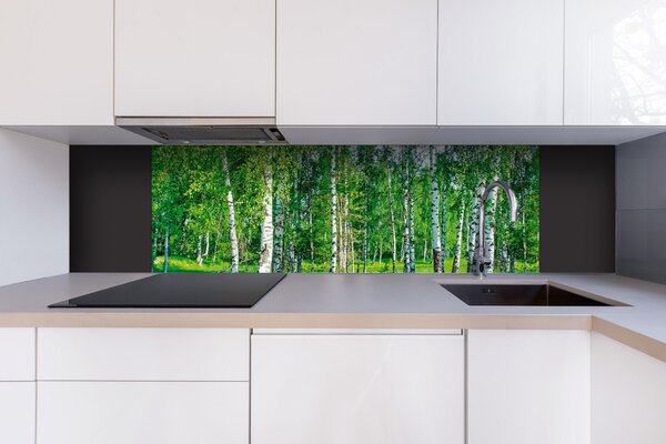 DIMEX | Dibond doska za kuchynskú linku | DBW-18060-044 Brezový háj | 180 x 60 cm