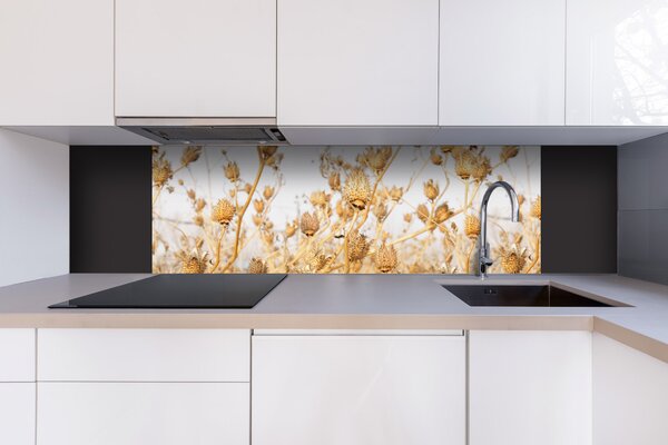 DIMEX | Dibond doska za kuchynskú linku | DBW-18060-180 Suché bodľačie | 180 x 60 cm