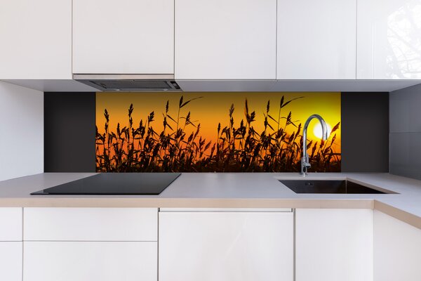 DIMEX | Dibond doska za kuchynskú linku | DBW-18060-128 Západ slnka | 180 x 60 cm
