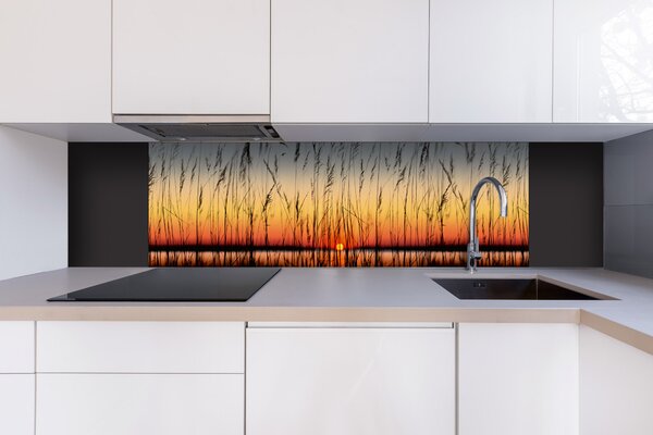 DIMEX | Dibond doska za kuchynskú linku | DBW-18060-129 Rákos | 180 x 60 cm
