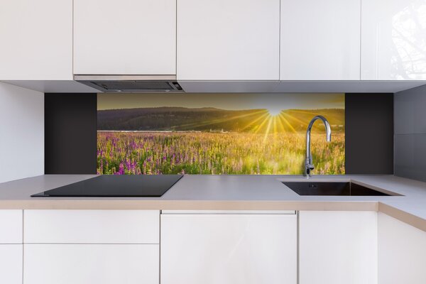 DIMEX | Dibond doska za kuchynskú linku | DBW-18060-201 Slnečné lúče nad lúkou | 180 x 60 cm