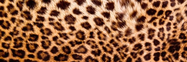 DIMEX | Dibond doska za kuchynskú linku | DBW-18060-069 Leopardia koža | 180 x 60 cm