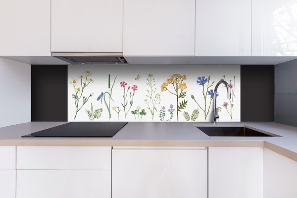 DIMEX | Dibond doska za kuchynskú linku | DBW-18060-219 Kresba z herbára | 180 x 60 cm