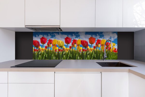 DIMEX | Dibond doska za kuchynskú linku | DBW-18060-131 Pole tulipánov | 180 x 60 cm