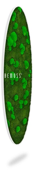 Bemoss® - E-SHOP - Machový obraz Elipsa FLATMOSS&BOLMOSS