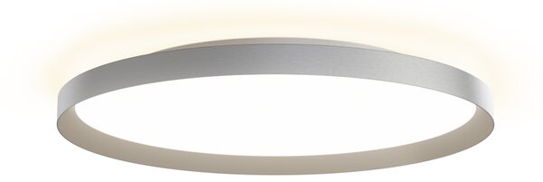 Stropné svietidlo Moon 60 2700K/3000K/4000 K nikel TRIAC – Sivá