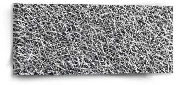 Sablio Obraz Biele vlákna - 110x50 cm