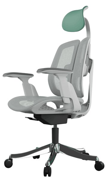 Ergonomická kancelárska stolička Liftor Active, zelená (sieťovina)