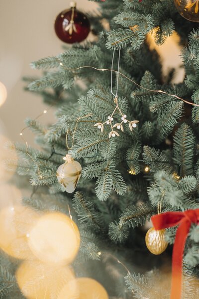 Kovová vianočná ozdoba Mistletoe Golden