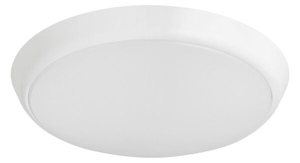 STROPNÉ LED SVIETIDLO, 25,5/4,3 cm Eglo - Online Only bytové doplnky, Online Only