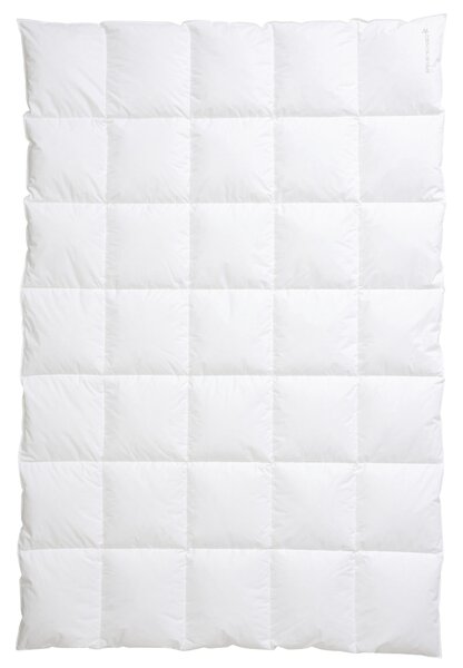 CELOROČNÁ PRIKRÝVKA, 155/220 cm, perie, páperie Centa-Star - Prikrývky & vankúše, Online Only