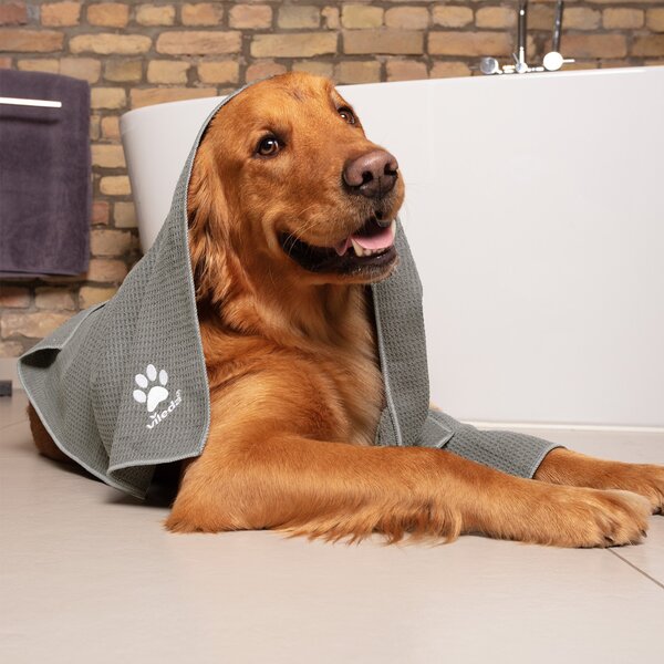 Pet uterák z mikrovlákna VILEDA Pet Pro