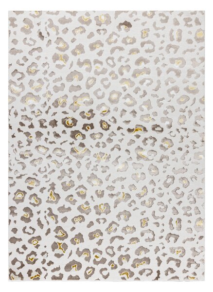 Dywany Łuszczów , Kusový koberec Bliss Z232AZ128 cream/beige, 120x170, béžová, kancelária