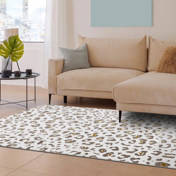Dywany Łuszczów , Kusový koberec Bliss Z232AZ128 cream/beige, 120x170, béžová, kancelária