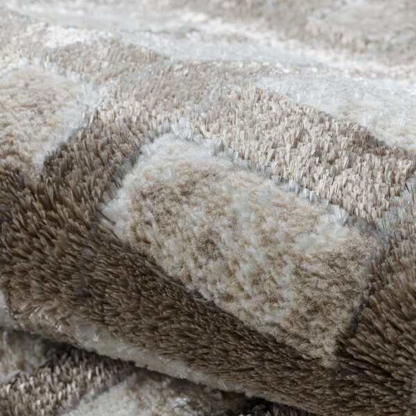 Dywany Łuszczów , Kusový koberec Bliss Z203AZ138 cream/beige, 80x150, béžová, kancelária