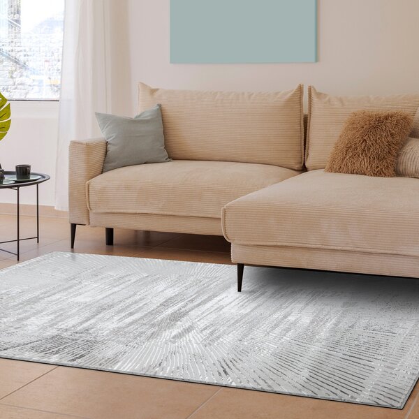 Dywany Łuszczów , Kusový koberec Bliss Z206AZ256 grey, 80x150, šedá, kancelária