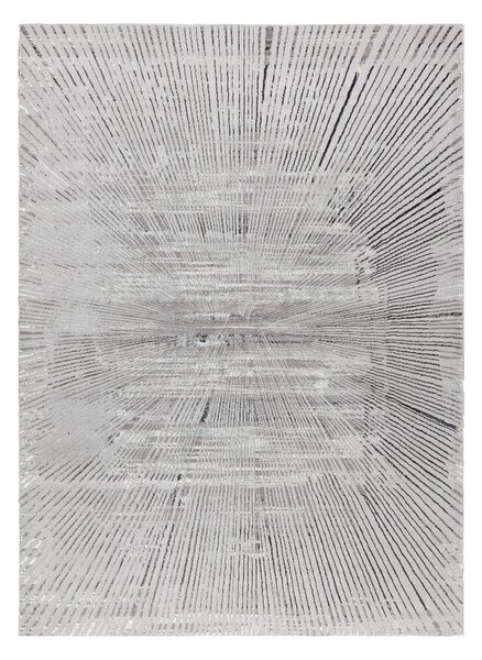 Dywany Łuszczów , Kusový koberec Bliss Z206AZ256 grey, 80x150, šedá, kancelária
