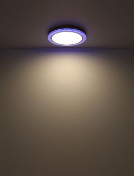 Globo 41372-24 - LED RGBW Stmievateľné stropné svietidlo BOLLY LED/20W/230V + DO