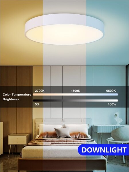 Immax NEO 07206L-LED Stmievateľné stropné svietidlo RONDATE 53W/230V biela Tuya+DO