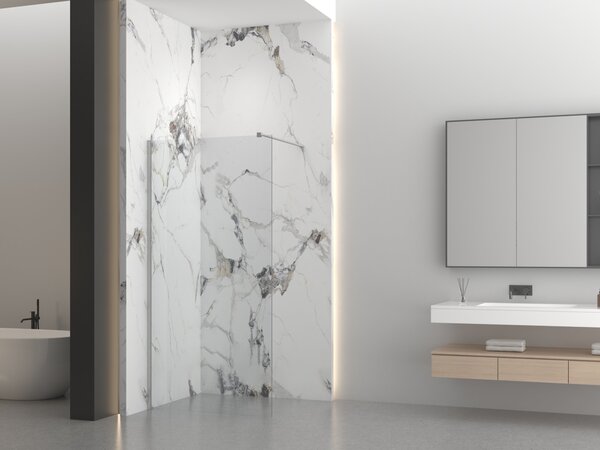 Erga Paris, sprchová zástena Walk-In 30x200 cm, 8mm číre sklo, brúsená oceľ, ERG-V02-PARIS-030x200-CL-BS
