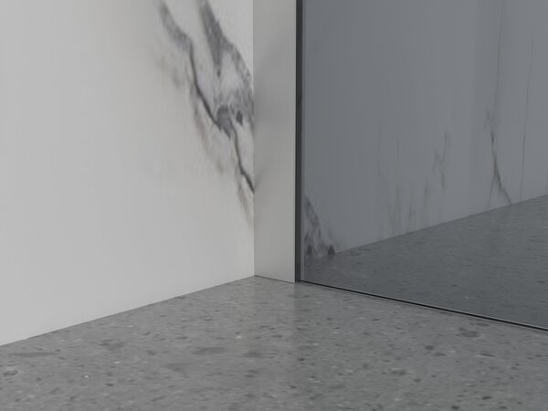 Erga Paris, sprchová zástena Walk-In 30x200 cm, 8mm šedé sklo, brúsená oceľ, ERG-V02-PARIS-030x200-GR-BS