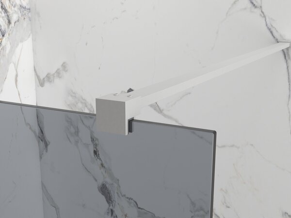 Erga Paris, sprchová zástena Walk-In 30x200 cm, 8mm šedé sklo, brúsená oceľ, ERG-V02-PARIS-030x200-GR-BS