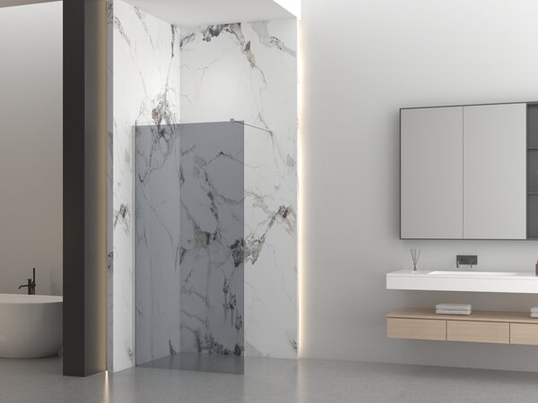 Erga Paris, sprchová zástena Walk-In 30x200 cm, 8mm šedé sklo, brúsená oceľ, ERG-V02-PARIS-030x200-GR-BS
