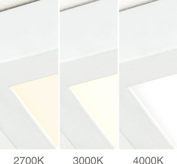 Orion - LED stmievateľné stropné svietidlo DISC LED/30W/230V 2700/3000/4000K 39x39 cm biela