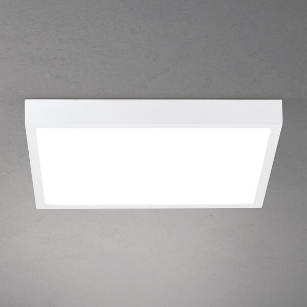 Orion - LED stmievateľné stropné svietidlo DISC LED/30W/230V 2700/3000/4000K 39x39 cm biela